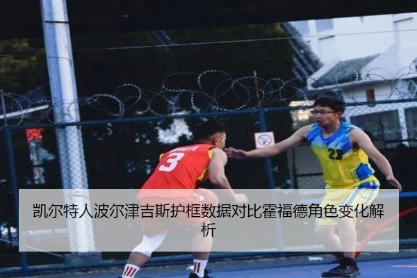 凯尔特人波尔津吉斯护框数据对比霍福德角色变化解析