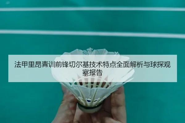 法甲里昂青训前锋切尔基技术特点全面解析与球探观察报告